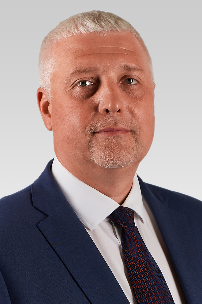 В.Е. Гордеев